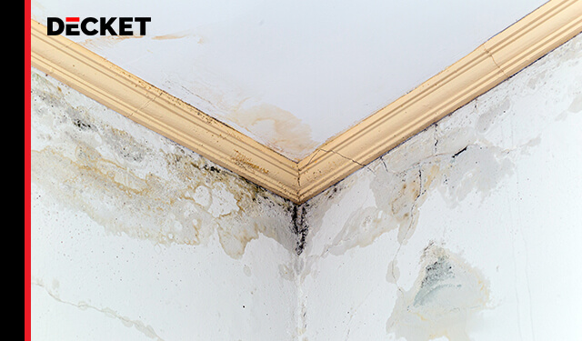 Wie kann man Dachboden Schimmel entfernen?